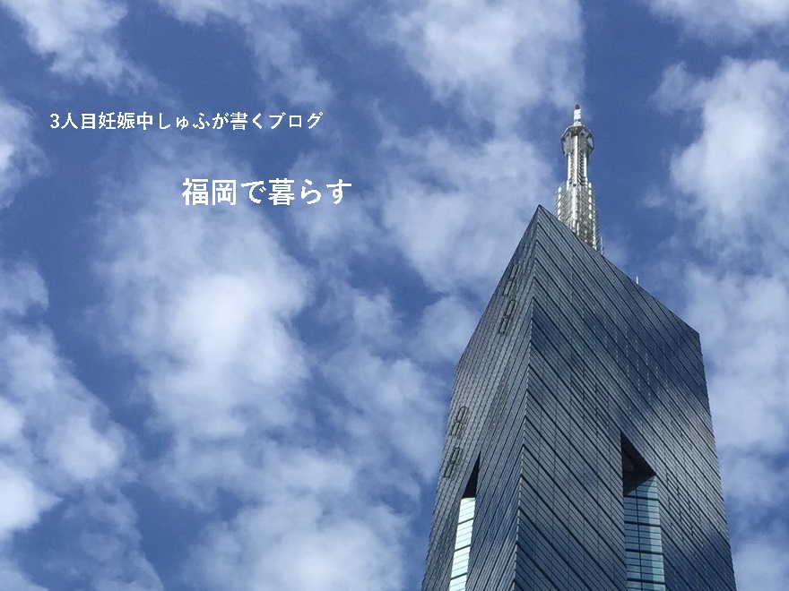 子供の名前を 梛 なぎ にした理由 男の子 福岡で暮らす